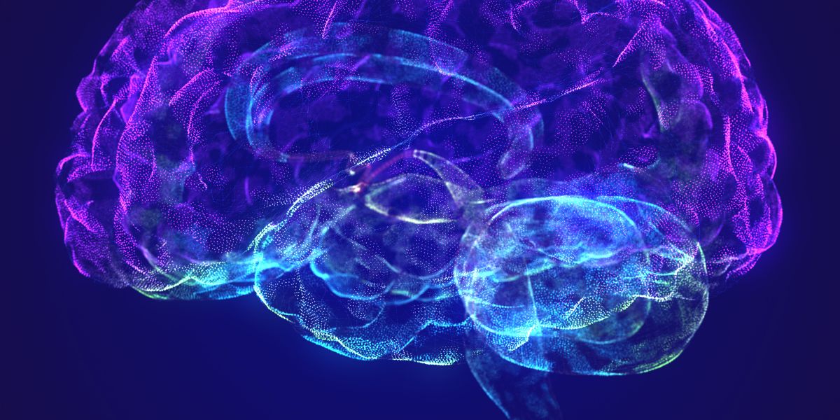 Our Brain Hates Too Many Choices