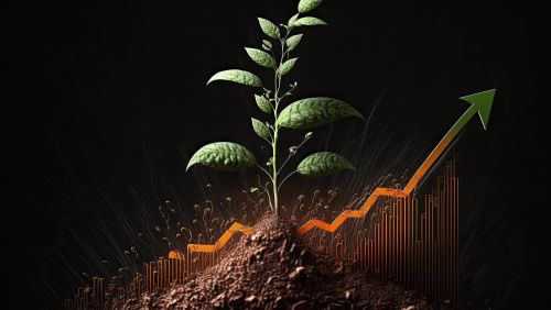 Growth Mindset Is Not Enough