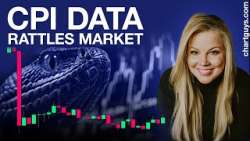 CPI Data Rattles the Market