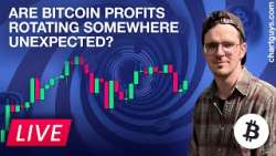 Are Bitcoin Profits Rotating Somewhere Unexpected?