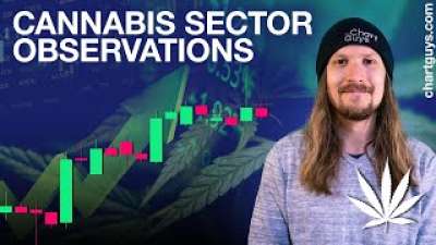 Cannabis Sector Observations