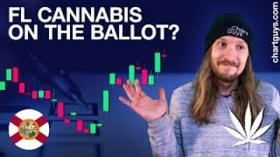 Cannabis Stocks Volatile!