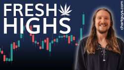 Cannabis Psychedelic Stock Charts