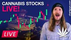LIVE Cannabis Stock Charts Jan. 16th 2024