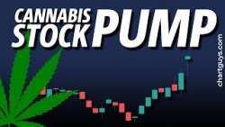 Cannabis Stocks Pump