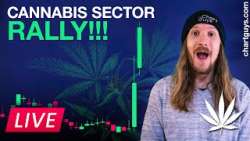 Time For Cannabis Stocks?!