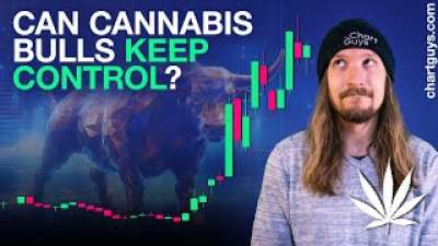 Can Cannabis Bulls Keep Control?