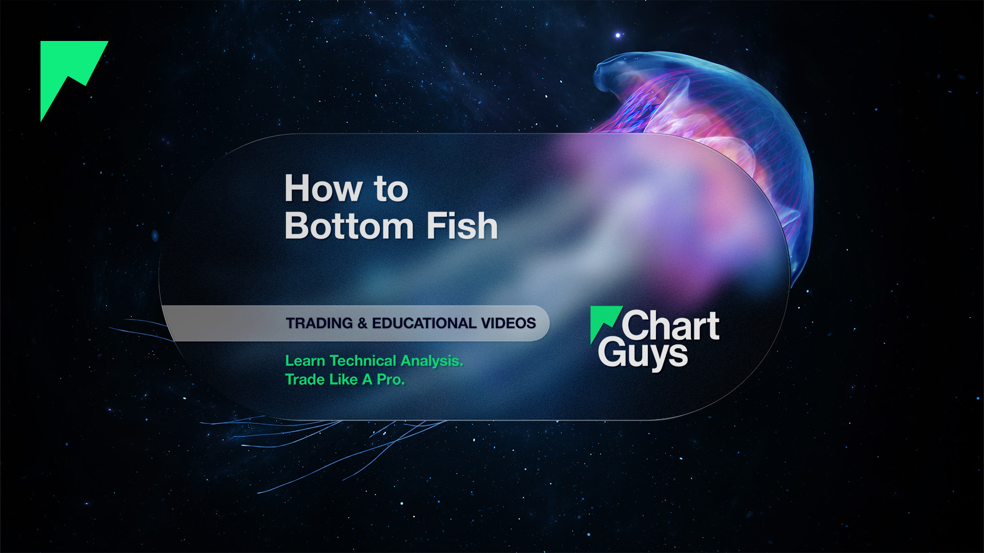 How To Bottom Fish