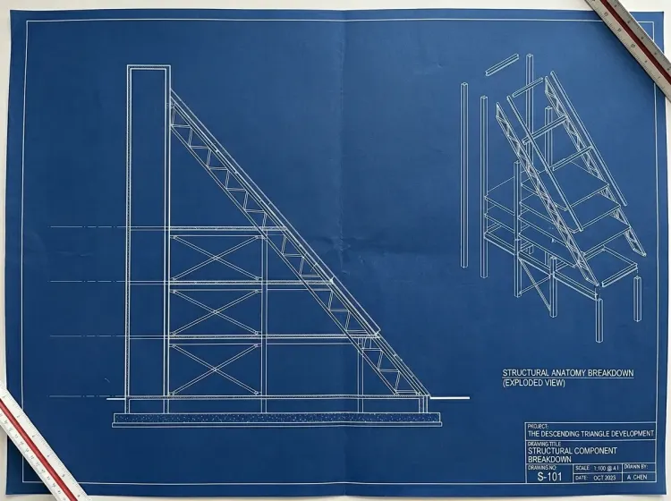 Anatomy of the Descending Triangle