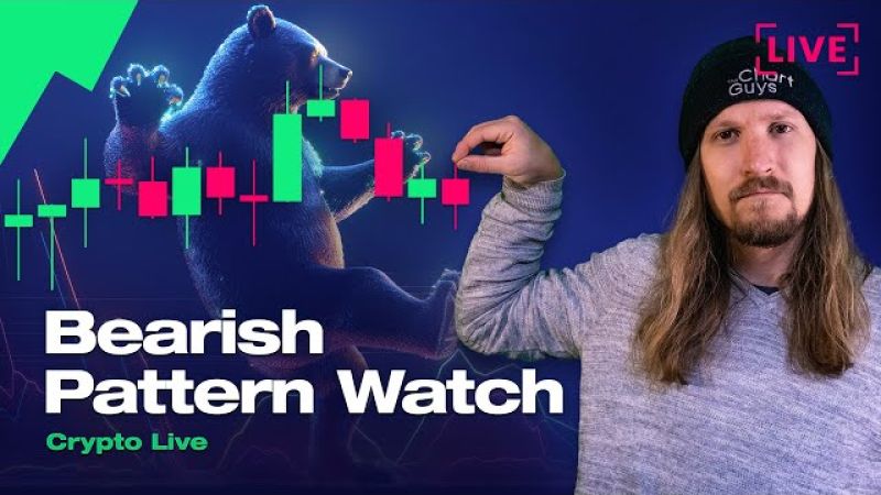 Crypto Bear Pattern Watch