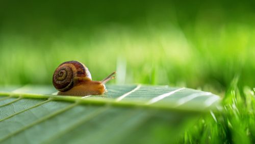 What to do in a slow market?