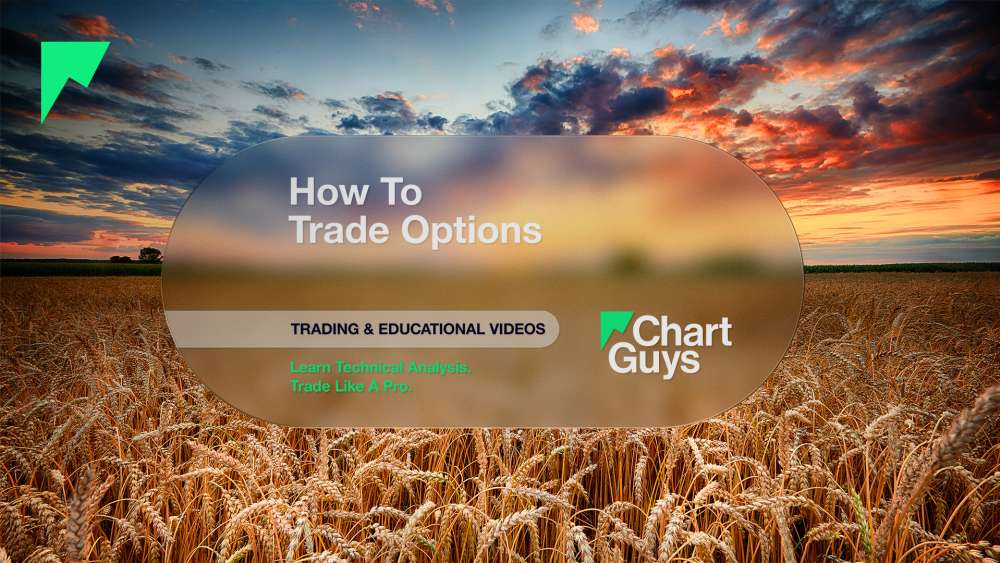How to Trade Options
