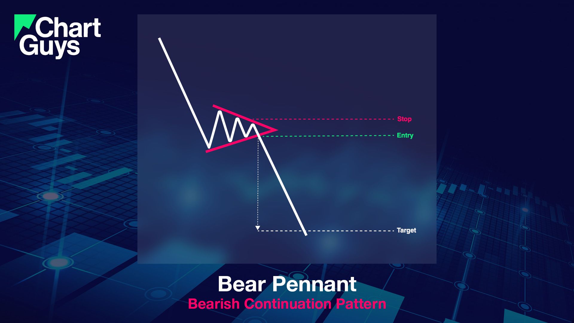 Bear Pennant Summary