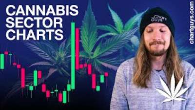 Cannabis Stock Expectations