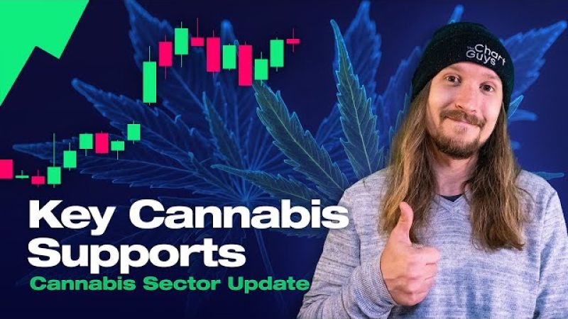 Cannabis Stocks Patiently Wait