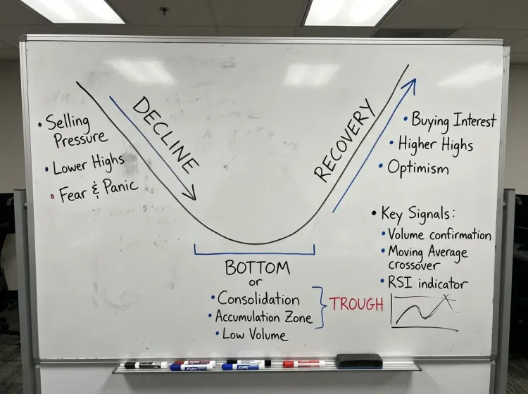 Anatomy of the Cup