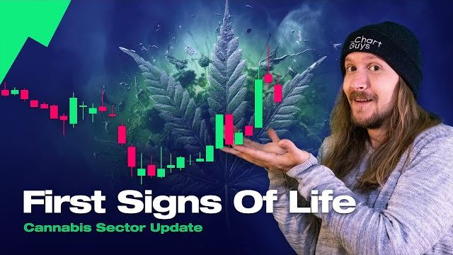 Cannabis Sector NEWS