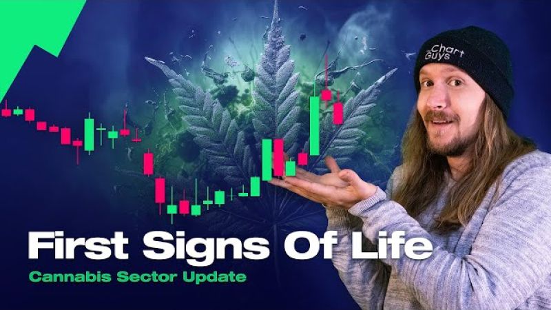 Cannabis Sector NEWS