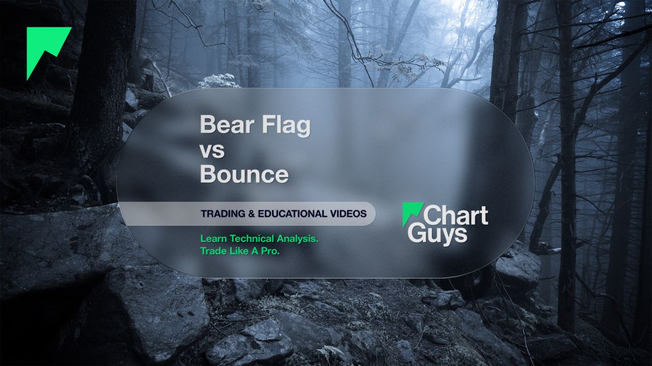 Bear Flag vs Bounce