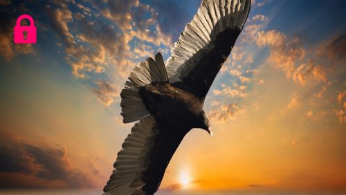 Iron Condor Trading Strategy