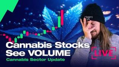 Cannabis Stocks Gap Up and.... Dump.
