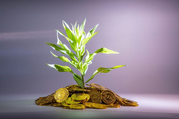 Investment Risks and Considerations