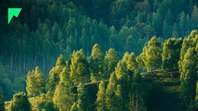 Intro to Trading Futures