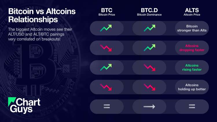 Infographic: Visualizing the Bitcoin vs Altcoins relationships