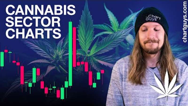 Cannabis Stock Expectations