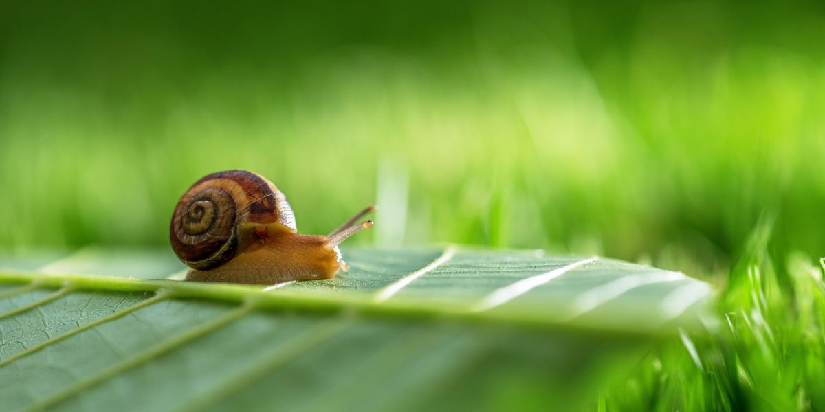 What to do in a slow market?