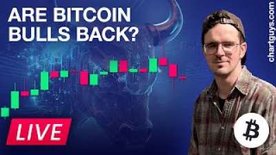 Are Bitcoin Bulls Back In Business?