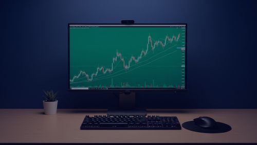 Naked Stock: What It Really Means to Trade Without a Net
